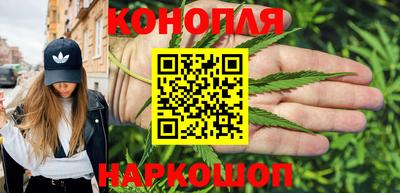 крисы Новокубанск