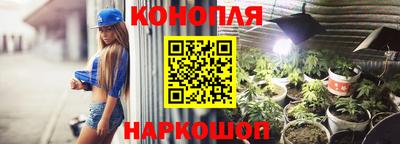 ECSTASY Новозыбков