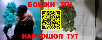 крисы Новокубанск