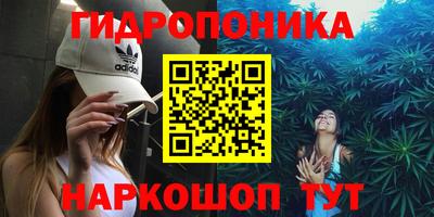 ECSTASY Новозыбков
