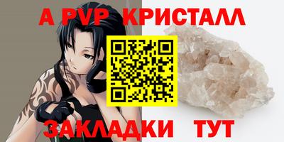 крисы Новокубанск