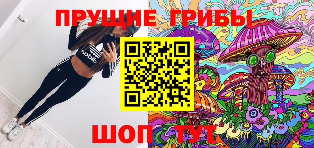 Псилоцибиновые грибы Psilocybine cubensis  Вход с VPN  что такое   Скопин 