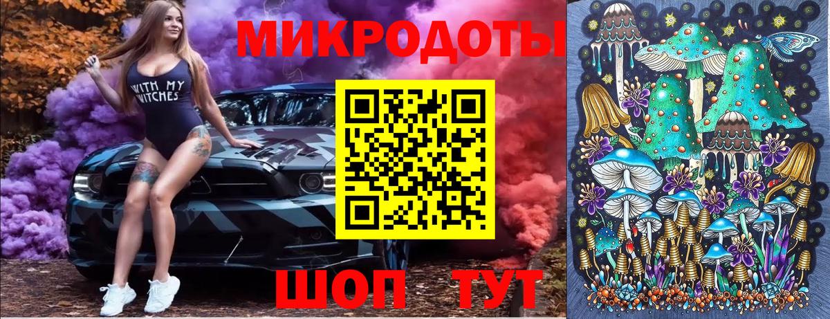 Псилоцибиновые грибы Cubensis Скопин